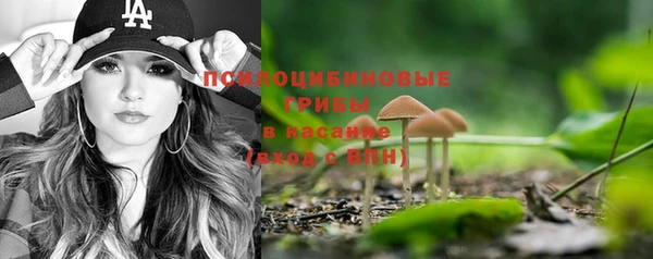 ПСИЛОЦИБИНОВЫЕ ГРИБЫ Алексин