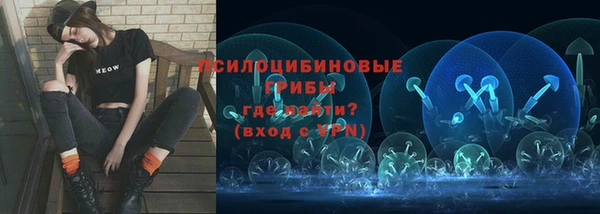 ПСИЛОЦИБИНОВЫЕ ГРИБЫ Алексин