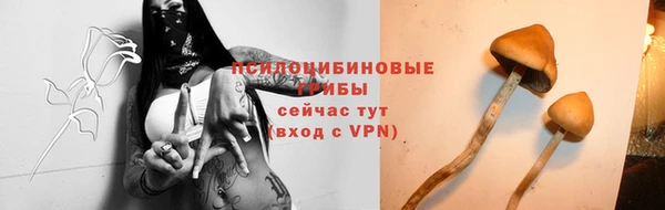 бошки Ростов