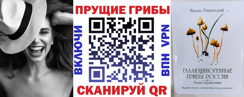 Псилоцибиновые грибы Psilocybe  Кулебаки 