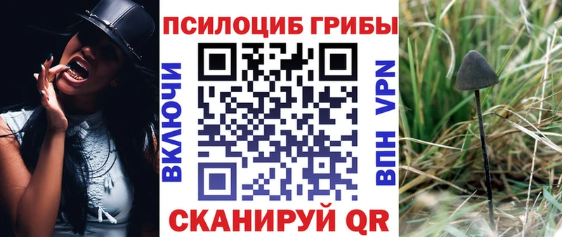 Псилоцибиновые грибы MAGIC MUSHROOMS Кулебаки