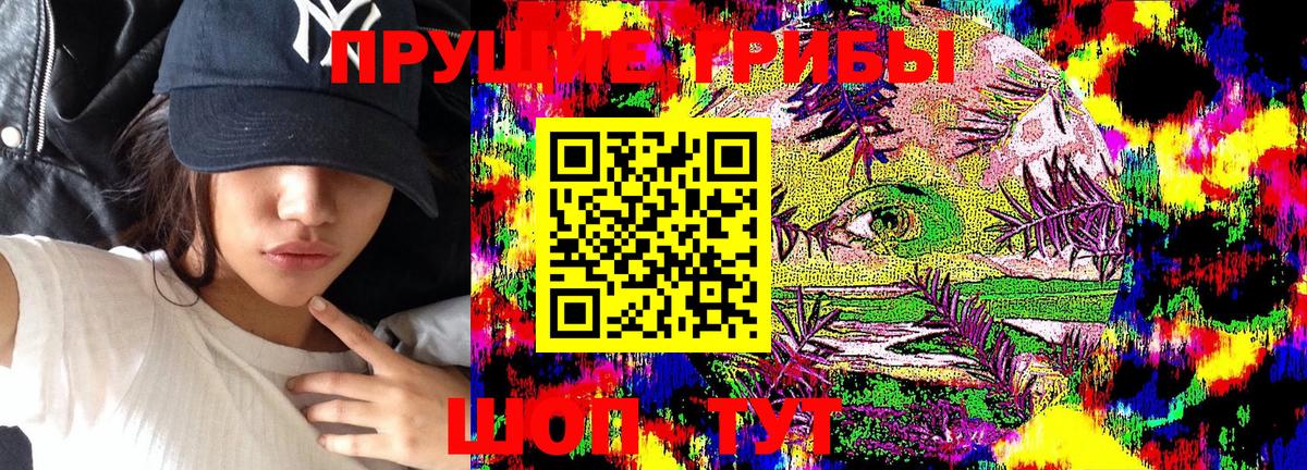 Галлюциногенные грибы Magic Shrooms Кулебаки