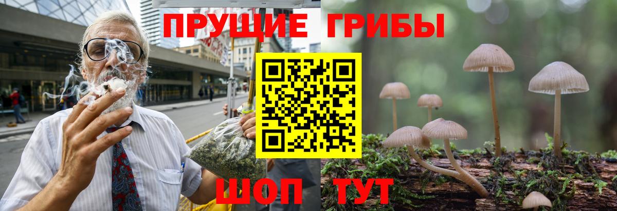 Кулебаки  как найти закладки  Вход с VPN  Псилоцибиновые грибы мухоморы 